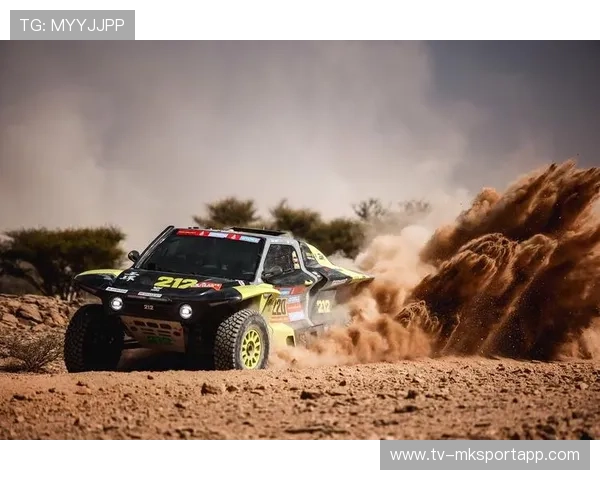 拉力赛多路段地形变化明显，车手应对策略备受考验