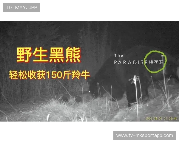 男孩靠“装死”躲过黑熊，网友直呼机智